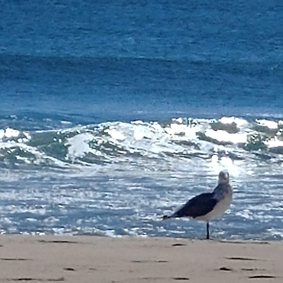 Meet your Posher, Kathy - Picture 1 of 1